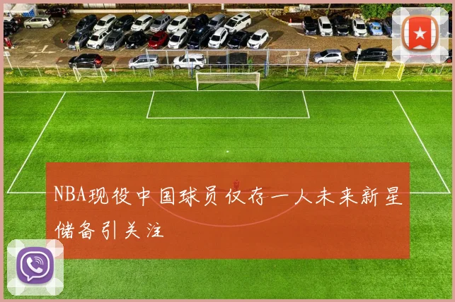 NBA现役中国球员仅存一人未来新星储备引关注